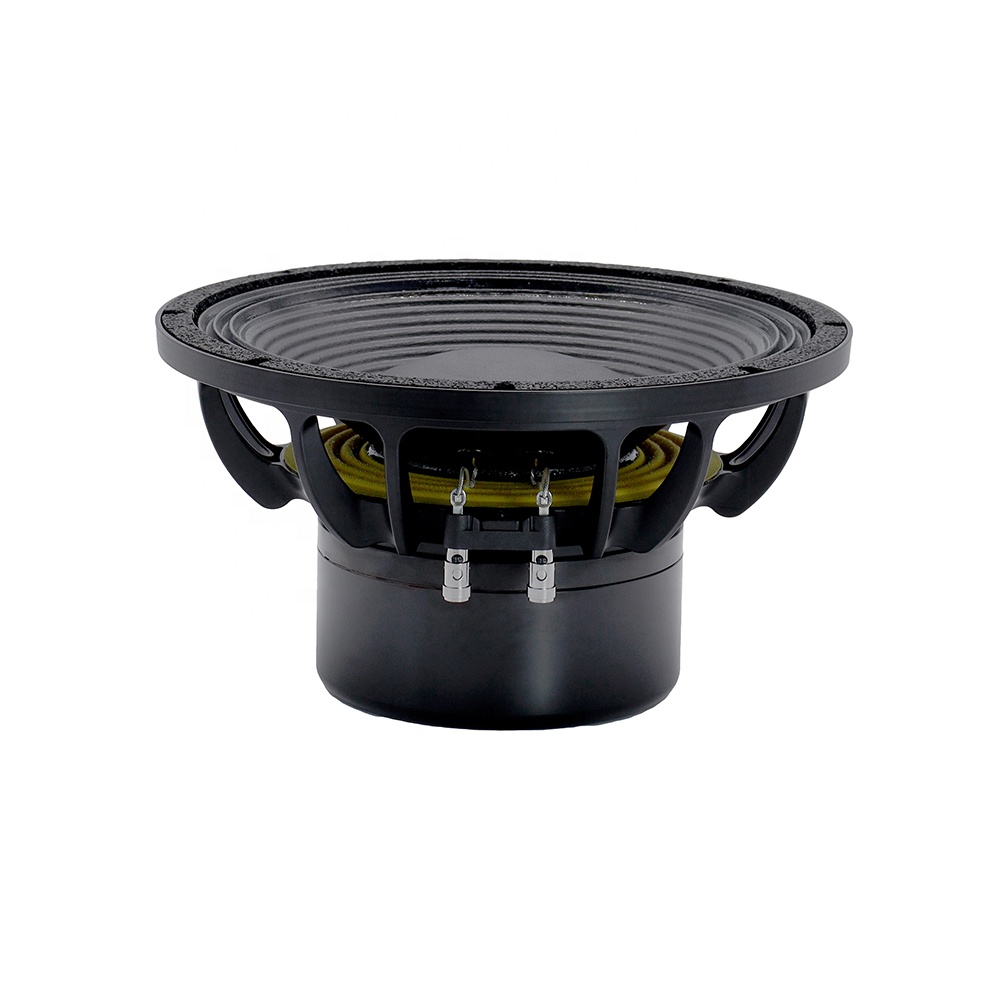 12DS Pro Ses Ekipmanları 12''  - Speakers incelemesi ve fiyatı