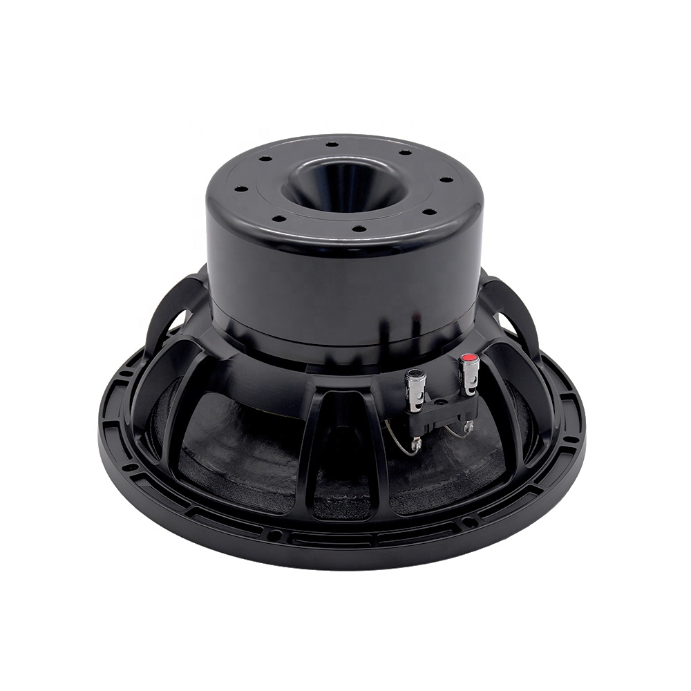 12DS Pro Ses Ekipmanları 12''  - Speakers incelemesi ve fiyatı